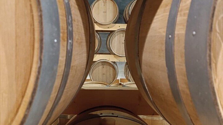 2 Days Penafiel Private Wine Tour from Madrid