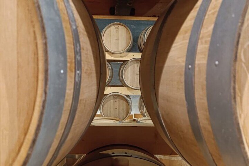 2 Days Penafiel Private Wine Tour from Madrid