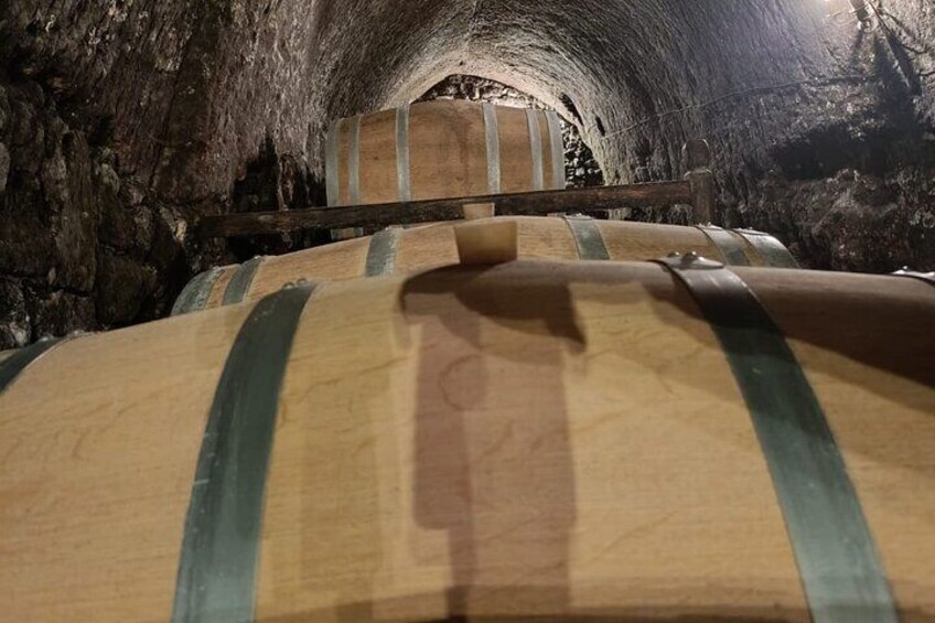 2 Days Penafiel Private Wine Tour from Madrid