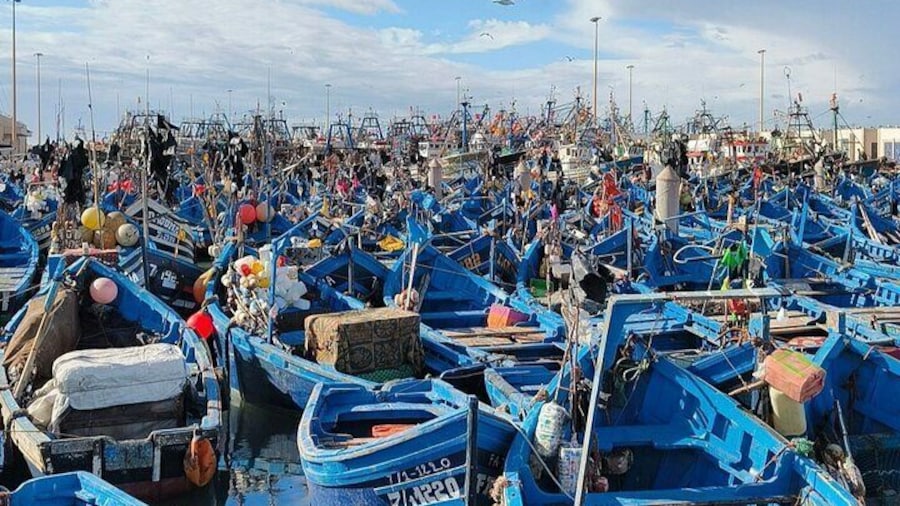 Day Trip from Marrakech to Essaouira The Charm of the Atlantic