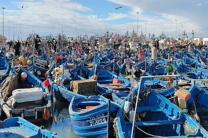 Day Trip from Marrakech to Essaouira The Charm of the Atlantic
