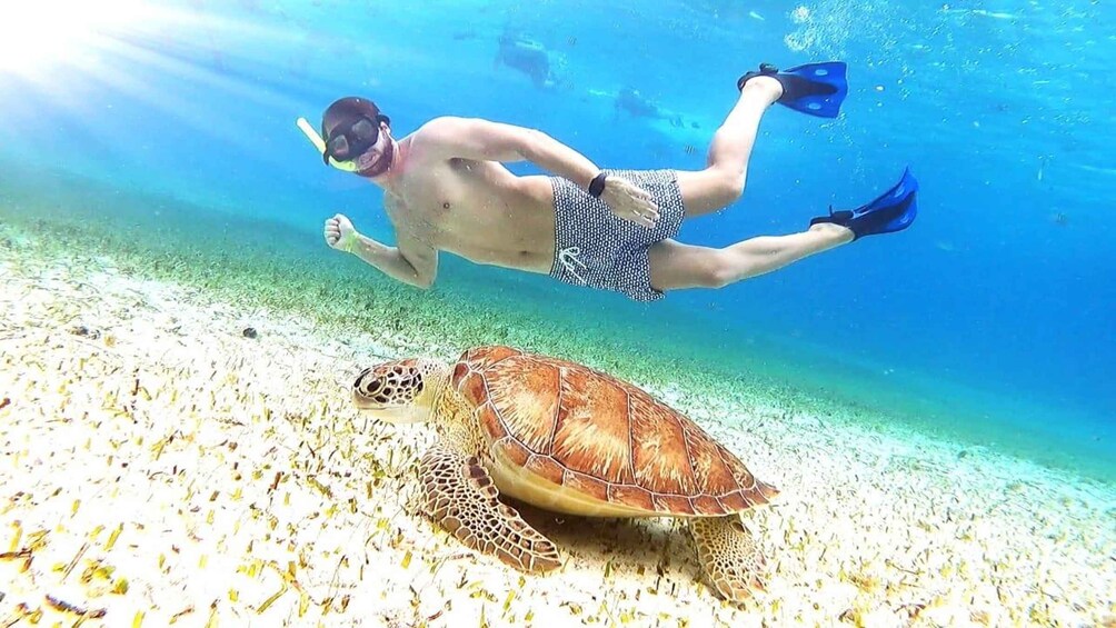 Picture 2 for Activity Cozumel: El Cielo Reef by Catamaran Snorkeling Tour