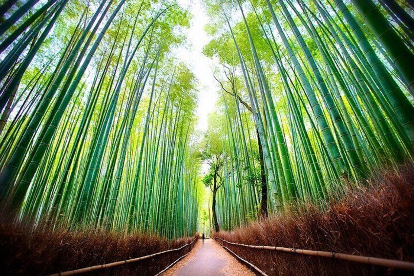 Kyoto Self-Guided Audio Experience