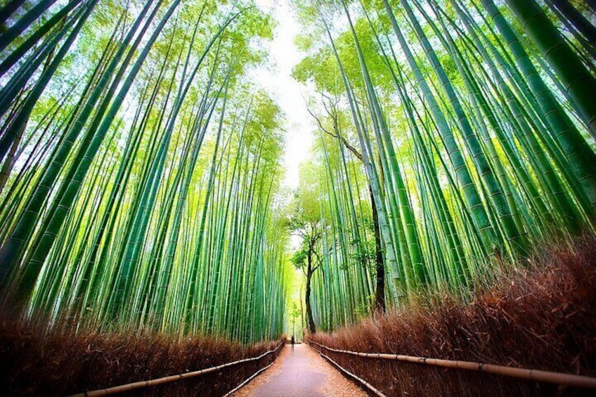 Kyoto Self-Guided Audio Experience