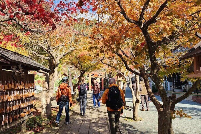 Mt. Iwate Harvest Cycling Tour: Culture and Scenic Views