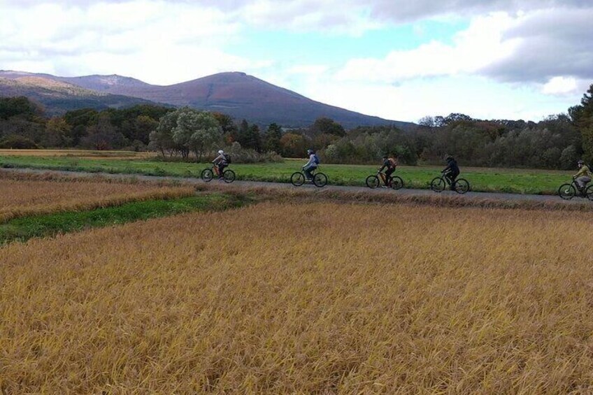 Mt. Iwate Harvest Cycling Tour: Culture and Scenic Views