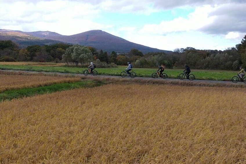 Mt. Iwate Harvest Cycling Tour: Culture and Scenic Views