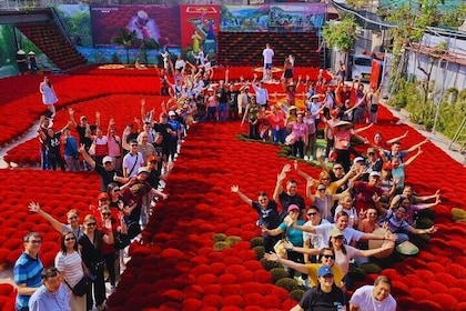 Quang Phu Cau Incense Village, Tam Coc, Mua Cave Private Day Tour