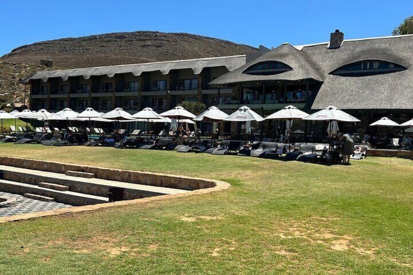 Aquila Game Reserve Safari