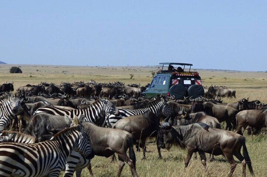 Nairobi Shared Tour with 4WD and Transportation