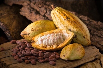 La Candelaria and Chocolate Tasting