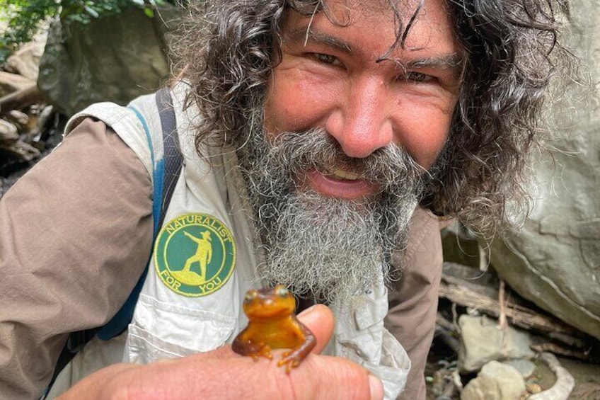 Naturalist Joel with a California Newt