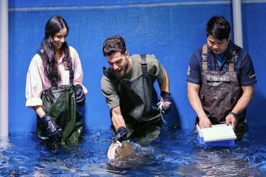 Dubai’s Top Attraction Aquarium, Underwater Zoo, and Penguin Cove