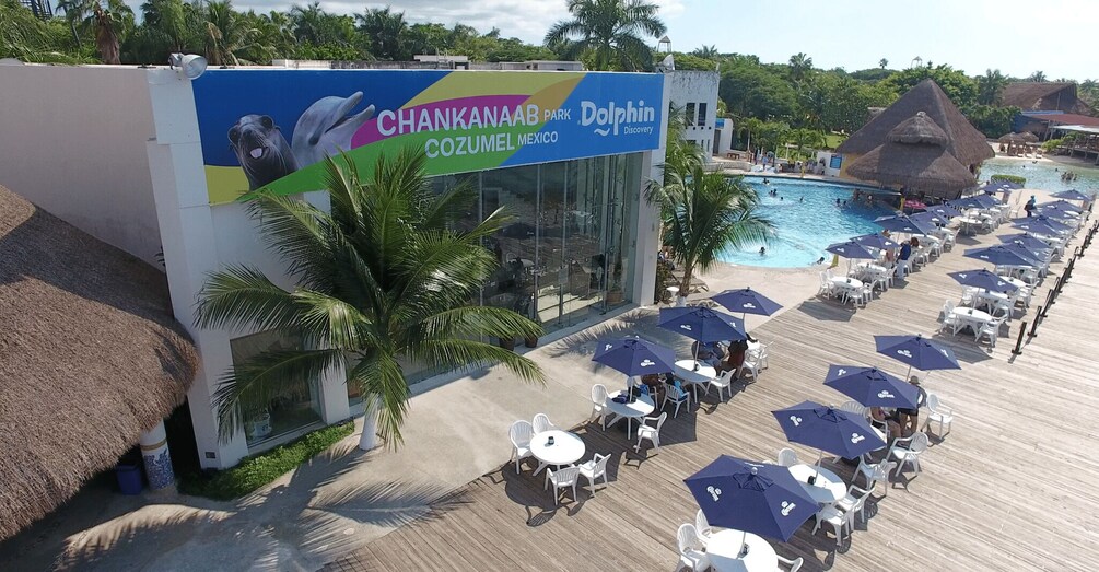 Picture 7 for Activity Cozumel: Sea Lion Program at Chankanaab Beach Adventure Park