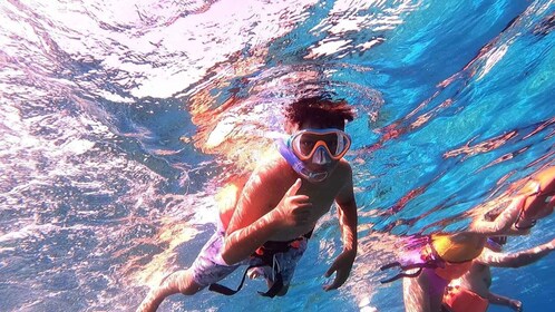 Cozumel: Chankanaab Beach Adventure Park and Snorkel