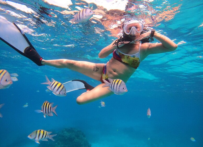 Picture 22 for Activity Cozumel: Chankanaab Beach Adventure Park and Snorkel
