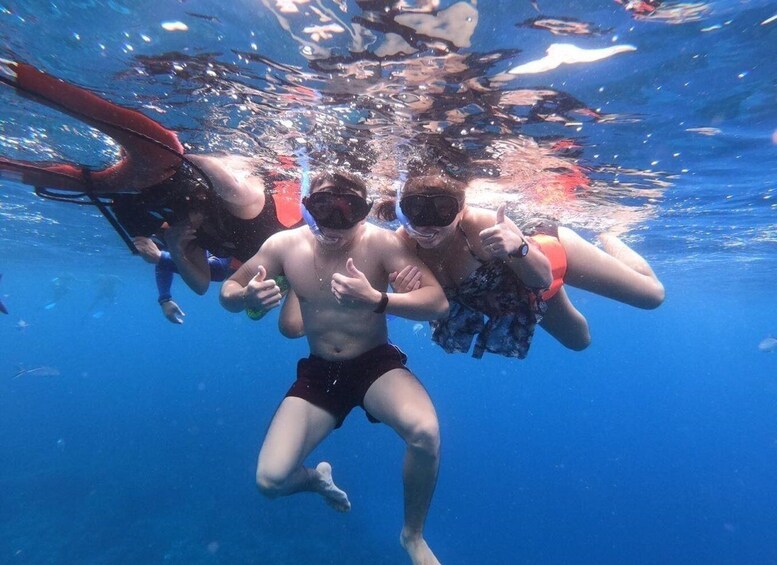 Picture 11 for Activity Cozumel: Chankanaab Beach Adventure Park and Snorkel