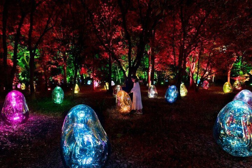 teamLab, Resonating Microcosms in the Common Camellia Garden - Solidified Light Color, Sunrise and Sunset
