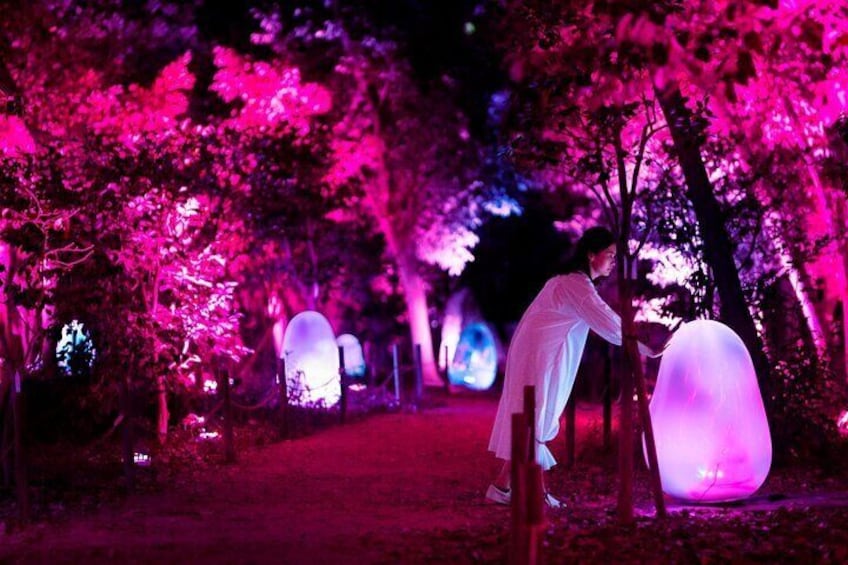 teamLab, Resonating Microcosms in the Common Camellia Garden - Liquified Light Color, Sunrise and Sunset