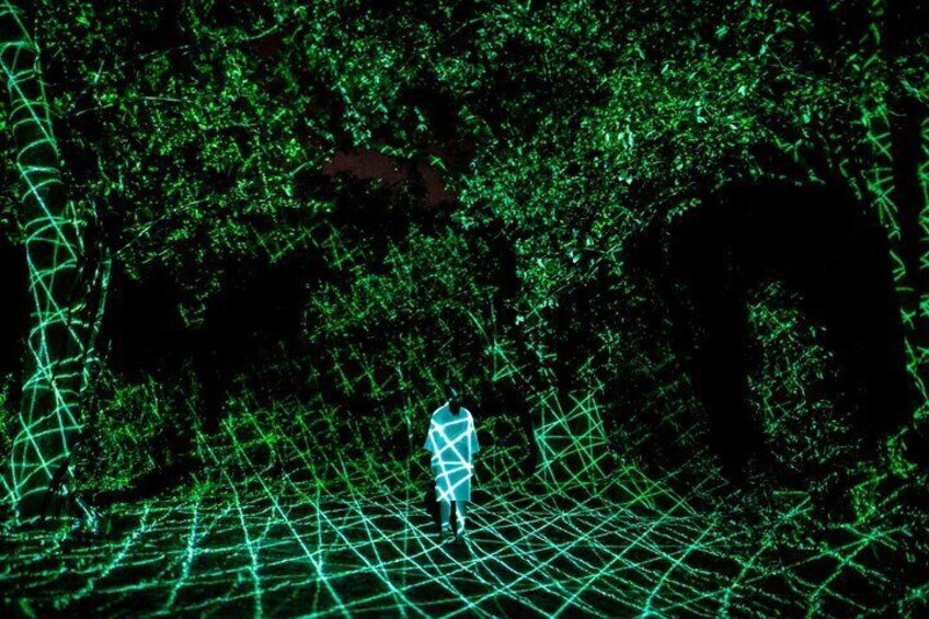 teamLab, Concrete and Abstract