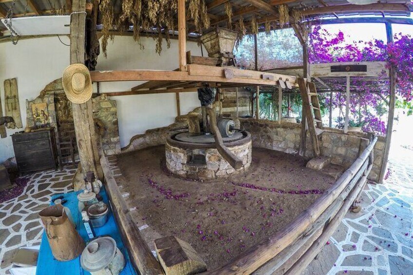 Our restored 1890s olive mill – still fully operational