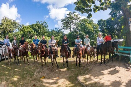 Horseback Riding + West End + Choco Factory + West Bay Day Pass @ Paradise ...
