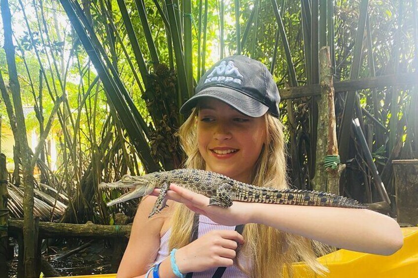 Lagoon boat tour bentota