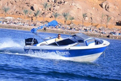Private Speedboat For 1 Hour, Explore the Shore - Sharm El Sheikh