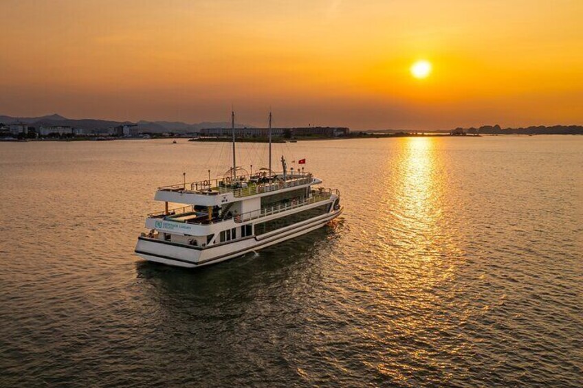 Cruise