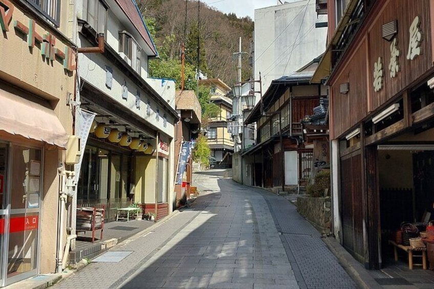 Snow Monkey Park Soba Lunch and Shibu Onsen Tour
