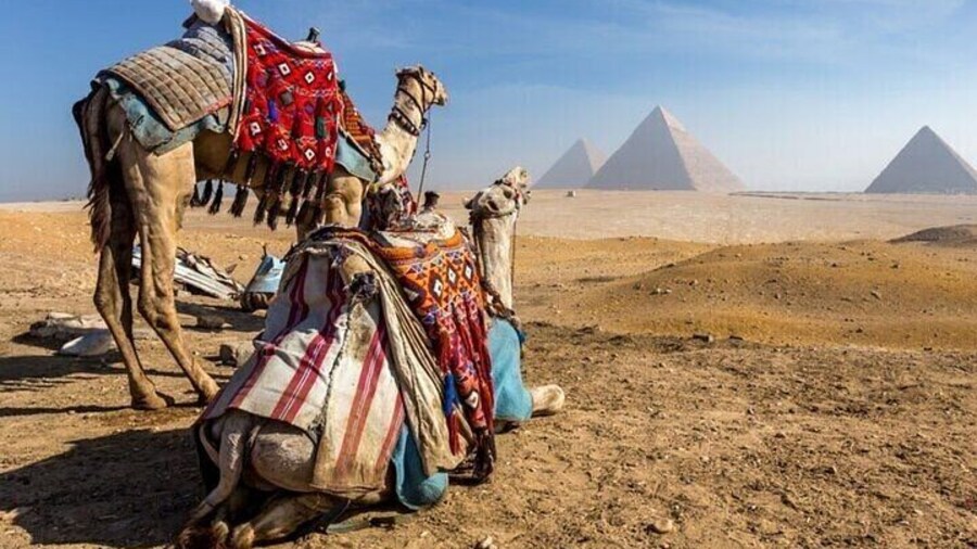 Cairo Day Tour with Private Transfer and Lunch – Sharm El Sheikh