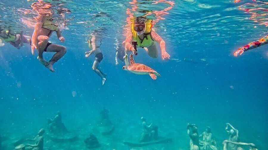The Original Underwater Sculpture Park Snorkel Tour