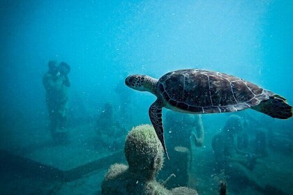 Sculpture Snorkelling Adventure