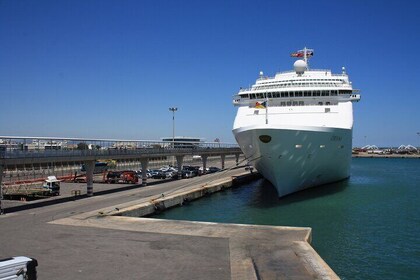 Valencia Highlights Bike Tour for Cruise Visitors