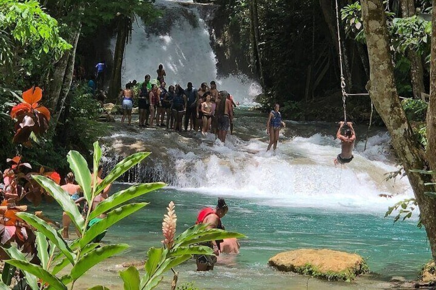 Bali Style High Ropes Swing and Dunn's River Fall Adventure