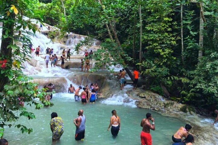 Bali Style High Ropes Swing and Dunn's River Fall Adventure