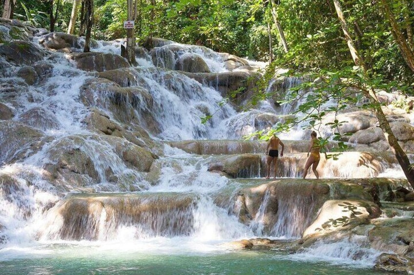 Bali Style High Ropes Swing and Dunn's River Fall Adventure