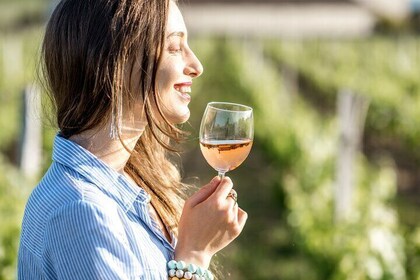 Dinner at a Winery on the Slopes of Mount Vesuvius