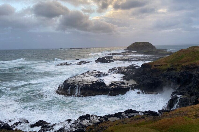 Phillip Island Tour with Italian Guide