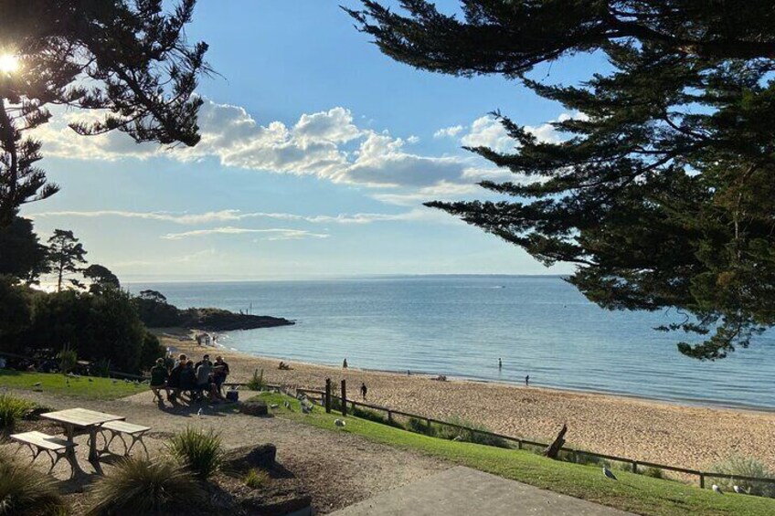 Phillip Island Tour with Italian Guide