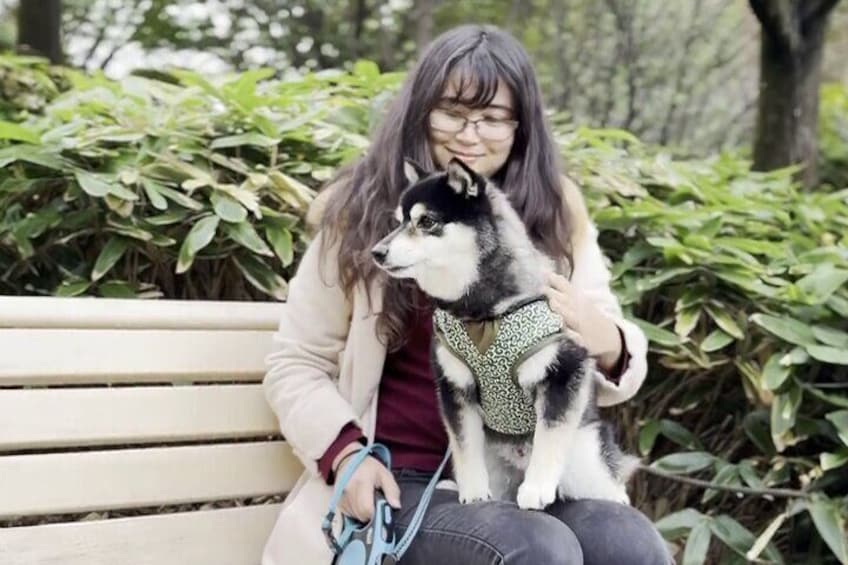 Private Shiba Inu Walk and Picnic at Edo Era Gates Tour