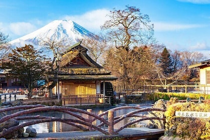 Mt. Fuji Scenic Day Tour Arakurayama Tendi Oshino and Kawaguchiko