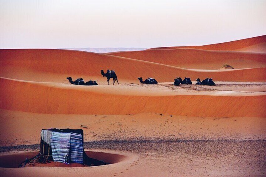 3 Days Desert Tour from Fez