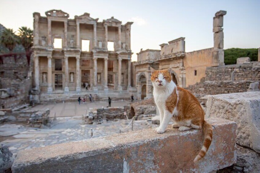 Ephesus Day Trip from Istanbul with Flights