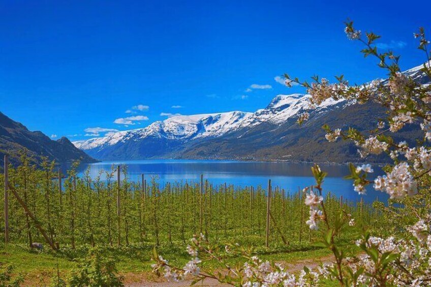 Views of Hardanger