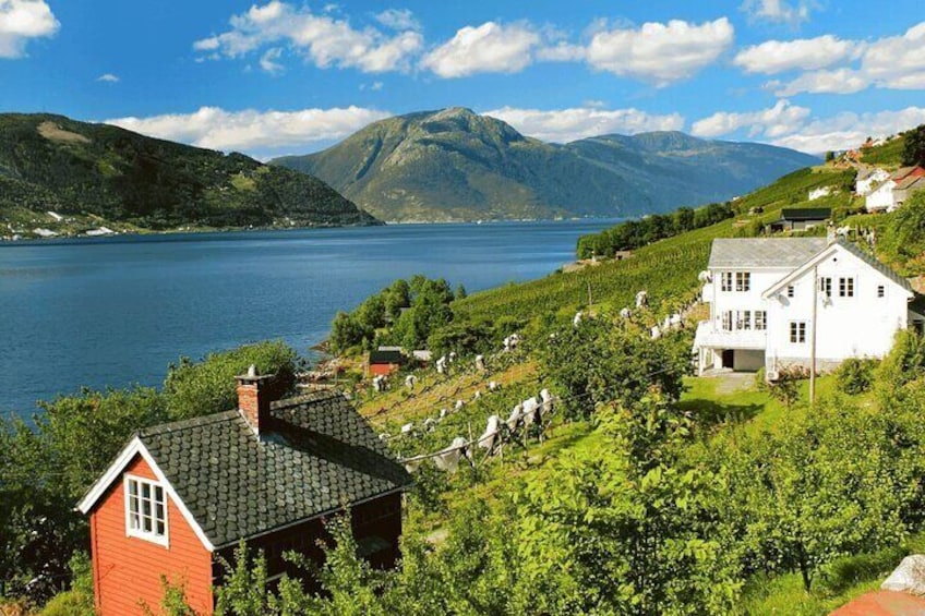 Hardanger