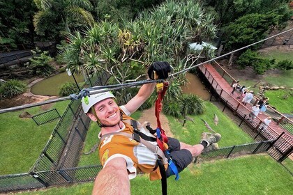 TreeTop Challenge Currumbin Wildlife Park