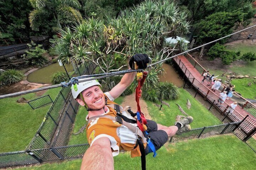 TreeTop Challenge Currumbin Wildlife Park