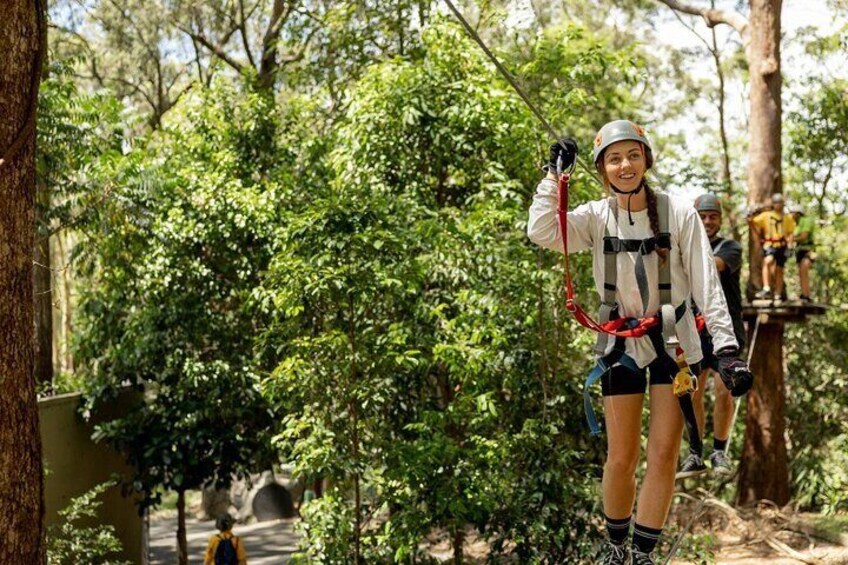 TreeTop Challenge Currumbin Wildlife Park