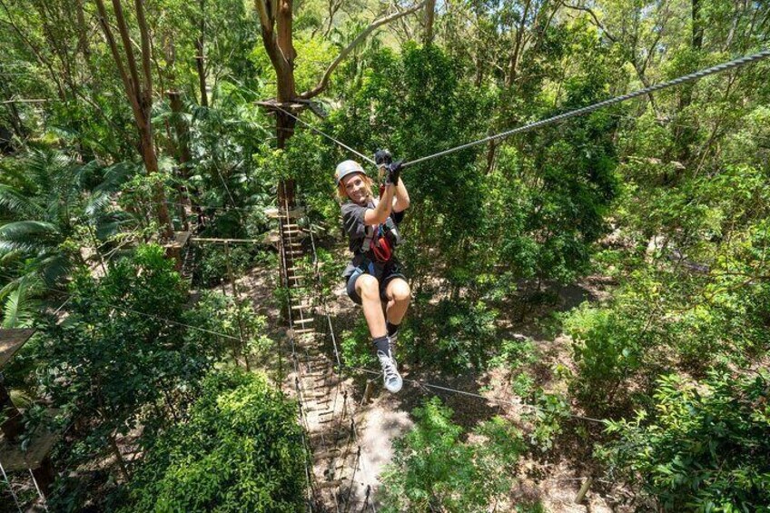 TreeTop Challenge Currumbin Wildlife Park